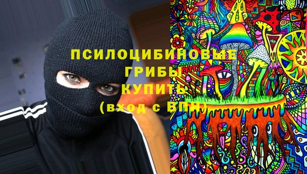 бошки Абаза