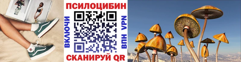 блэк спрут ТОР  Лебедянь  Псилоцибиновые грибы GOLDEN TEACHER  купить наркотик 